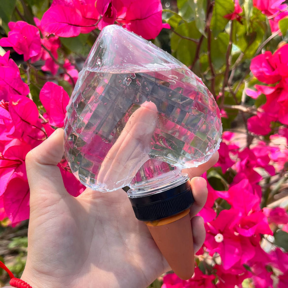 Heart Shaped Automatic Waterin - Automatic Plant Waterer recension och pris