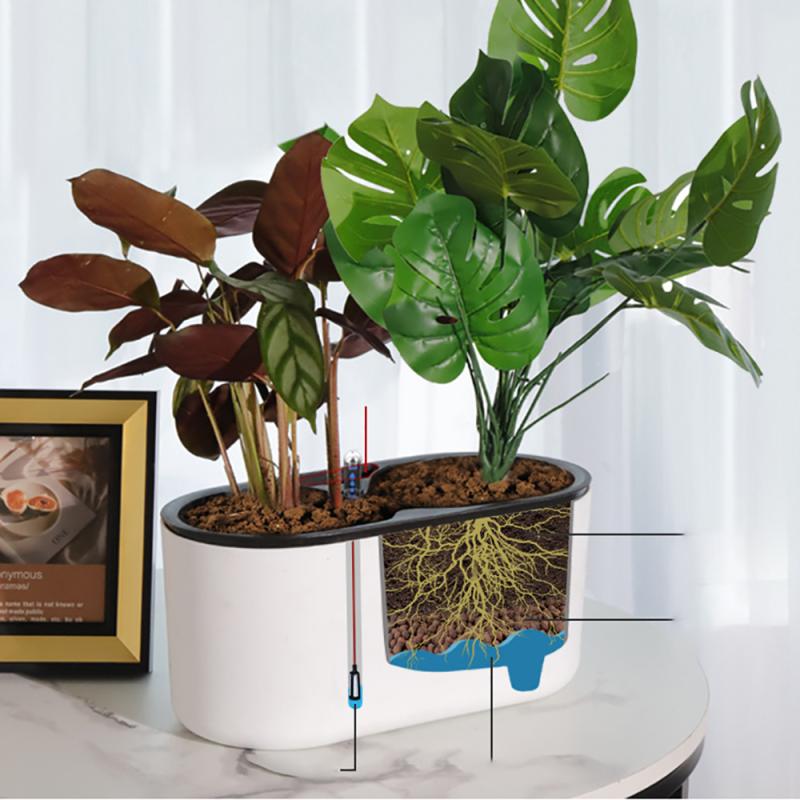 Indoor Plant With Indicator Wo - Automatic Plant Waterer recension och pris